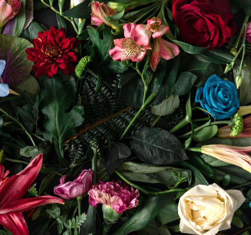 fiori per feste