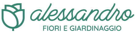 logo main